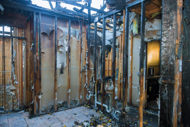 Professional Fire Damage Removal technician working in Union Park, FL